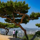 화서공원 이미지