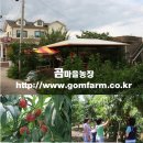 곰마을민박 이미지