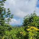 남아종합건설(주) | 덕골계곡(번암산-백운산-무학봉) 환종주 산행후기