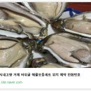 거제해산물 티스토리