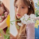 뉴스flower 이미지