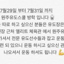 원주유도스쿨 이미지