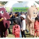 강화인삼협동조합 이미지