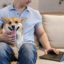 위즈동물메디컬센터 이미지