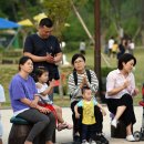 숲속버스킹 이미지