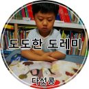 도도한전집