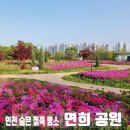 연희자연마당 공원  | 인천 숨은 철쭉 명소 「연희 공원 &amp; 연희 자연마당」 주차장, 청라지구 피크닉 명소, 연희 자연마당...