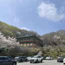 원적산 | 경기 알프스 이천 원적산 백패킹 후기