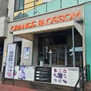송촌제1경로당 | [대전 송촌] 오렌지블라썸 베이커리카페 - 대전 빵지순례 송촌 코스! 건강하고 맛있는 빵이 있는 대전...