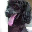 화성휴게소 이미지