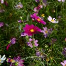 고잔역 교각밑 이미지