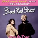 윤악기사 | 일본에서의 자유 시간 (Blood Red Shoes 공연_3일차)