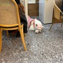 만나교회 뒤 | 돈블 심화반 모임 후기, 화목한교회에서 다시 만난 따뜻한 사람들