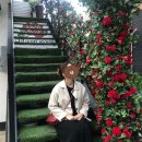 연우패밀리헤어 | [에이블리] 마켓 추천 ! 가을겨울편🍁 6개월동안 23만원 솔직후기💸