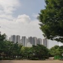 yes예스공인중개사사무소 이미지