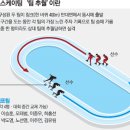 [스피드]팀추월 경기란? 3명씩 경기…1명이라도 잡히면 져 이미지