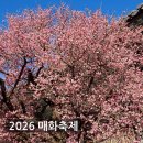 구례의길(남도이순신길) | [2026 봄꽃 지도] 남도 매화·산수유 축제 일정 총정리! (광양/원동/순천/구례)