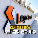 스톤넥스트 유한회사 | 국민성장펀드 5,000억 투자에도 리가켐바이오 주가가 급락한 이유