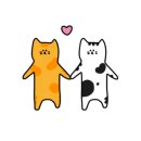 마음동물병원 이미지