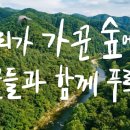 강산광고기획