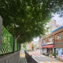 박재관 | 혜화 대학로 데이트, 연극추천 오백에 삼십 코믹 서스펜스 연극 추천 👍🏻💓 내돈내산 후기