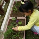 중앙어린이집 이미지