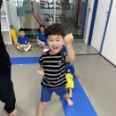 호랑이들 태권도장 이미지