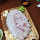하복대점] 청주 가성비 좋은 활어회 맛집 방문후기 - 청주횟집 청주맛집 복대동횟집 복대동횟집추천...