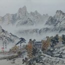 진도경희의원 | 2회 한국화 출품작