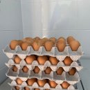 영광군푸드뱅크 이미지