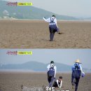 오케이 스타뉴스