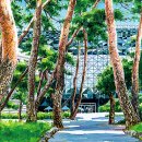 신토불이 이미지