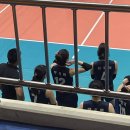 고송희 | 한국실업배구 최강전 직관 일기 (7.7)