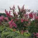 미녹원