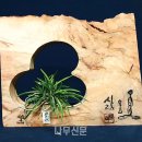 (주)뉴그린 네이버블로그