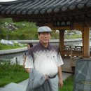 백십자