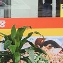 초원염소농장 이미지