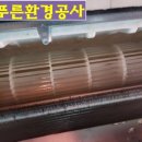 늘푸른약품 이미지