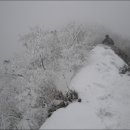 함양얼음 이미지