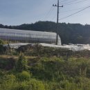 율길1리 마을회관 이미지