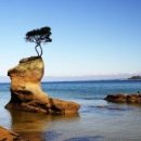 피부관리사자격증 이미지