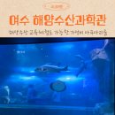 아이랑 여수 여행 코스로 해양수산과학관