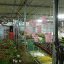 첨단농원 이미지