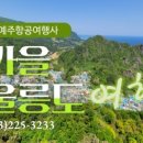 프라임항공여행사