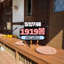 191크라운거리 | 밀양 가볼만한곳 애견동반 한옥 카페 &#39;1919봄&#39; 적극 추천!!