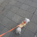 우리탕 이미지