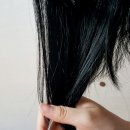 OGX 면접후기+OGX 레몬 하이라이트 컨디셔너