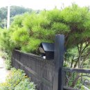 도그엔조이 이미지