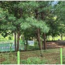 현대공인중개사 이미지