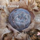 몰운대(정선) 연화바위솔 이미지